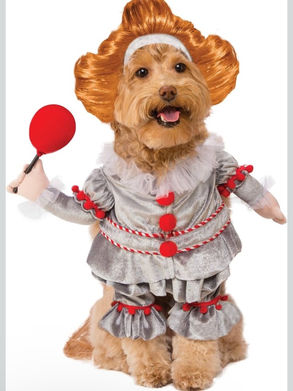 NWT Pennywise Dog Costume S